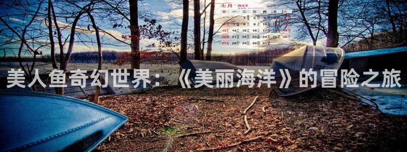 喵趣吧：美人鱼奇幻世界：《美丽海洋》的冒险之旅