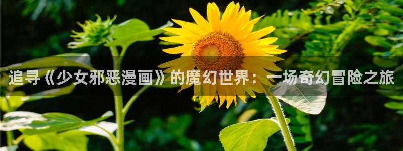 喵趣漫画下载官网：追寻《少女邪恶漫画》的魔幻世界：一场奇幻冒险之旅