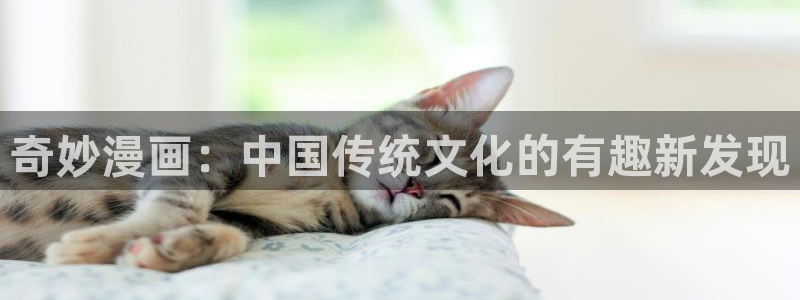 喵趣漫画app下载安装：奇妙漫画：中国传统文化的有趣新发现