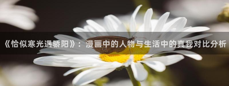 喵趣漫画未删减版：《恰似寒光遇骄阳》：漫画中的人物与生活中的真我对比分析