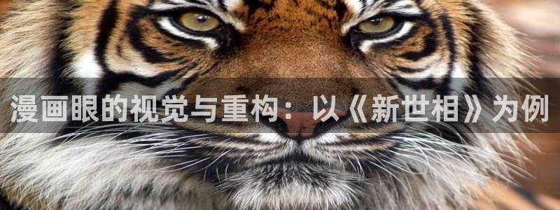 喵趣漫画下载app官方：漫画眼的视觉与重构：以《新世相》为例