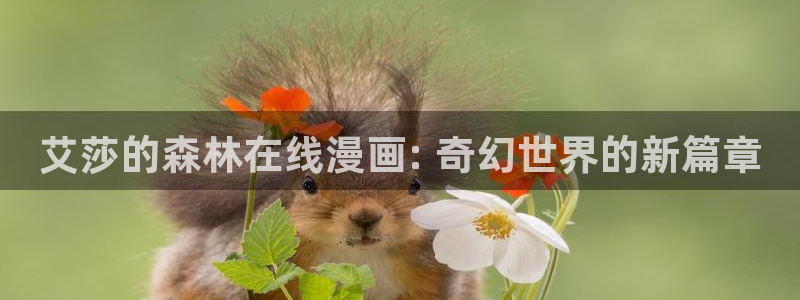 喵趣官网漫画