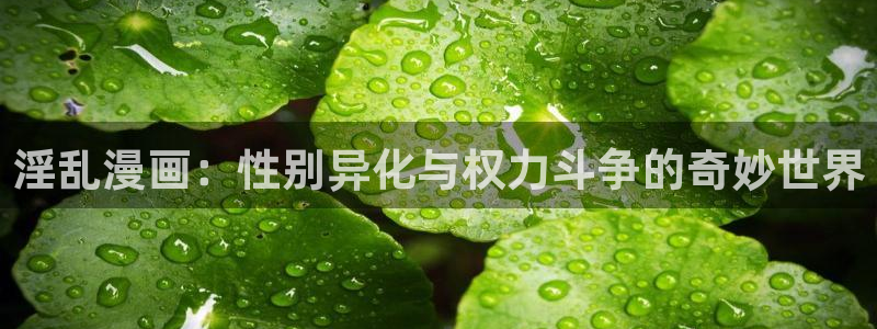 喵趣最新版本