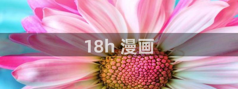 喵趣纯净版